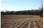 Property photo 4 - REAL ESTATE AUCTION - 84.5+/- ACRES IN 4 TRACTS IN WHITLEY COUNTY, INDIANA